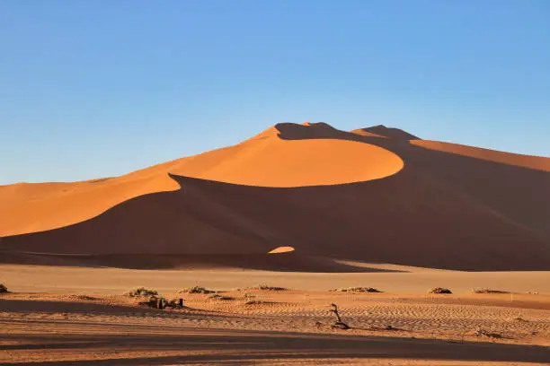 Photo of giant red sand dunes in Sossusvlei Namib Desert - Namib-Naukluft National Park, Namibia, Africa