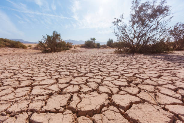 istock Dry soil in the Wadi Araba desert. Jordan 1288424976