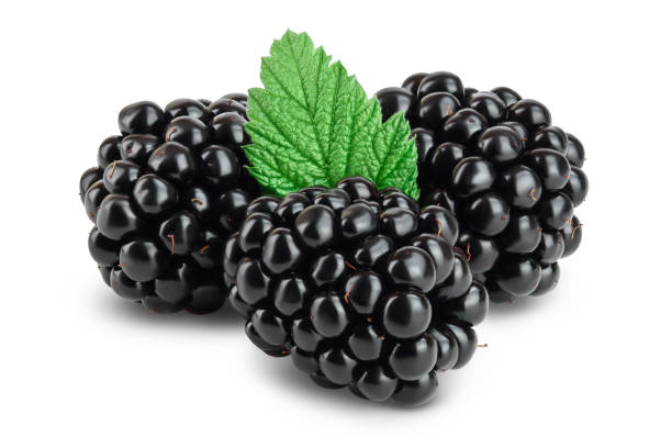 istock blackberry with leaf isolated on a white background closeup. Clipping path and full depth of field 1288425772