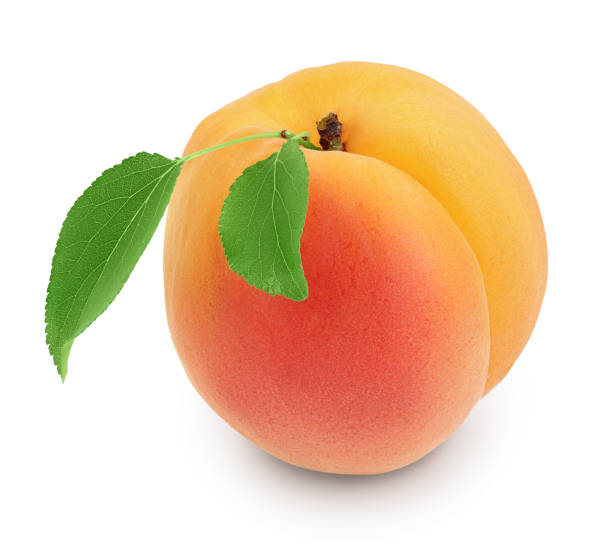 istock apricot fruit isolated on white background. Clipping path and full depth of field 1288425828