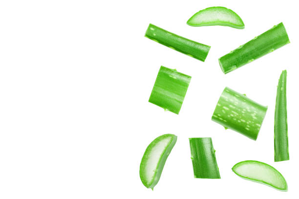 istock Aloe vera with slices isolated on white background with copy space for your text. Top view. Flat lay. 1288426438