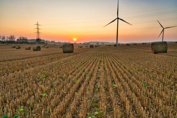 strohballen im feld bei sonnenaufgang, west yorkshire, england, großbritannien - wind turbine wind turbine yorkshire stock-fotos und bilder