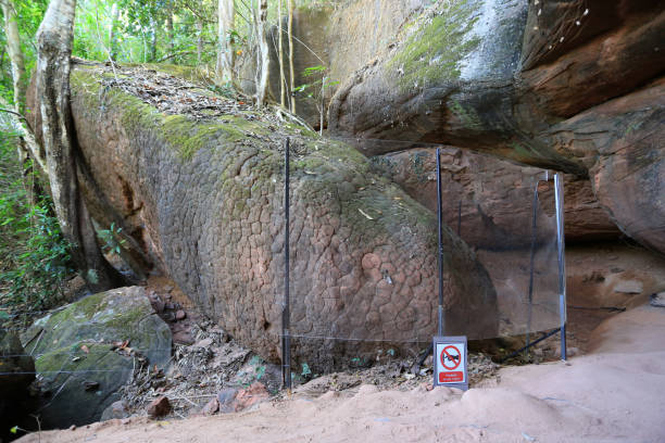 пещера нага, удивительные нага весы кам�енной горы в фу лангка национальный парк, буэн кан таиланда, sun cracks - dogma стоковые фото и изображения