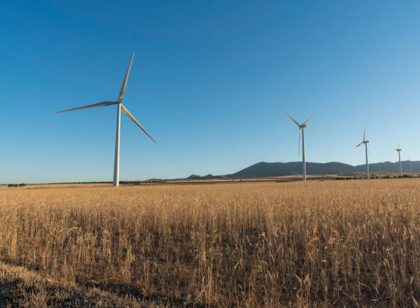 istock Wind turbine park in southern Spain 1288429254