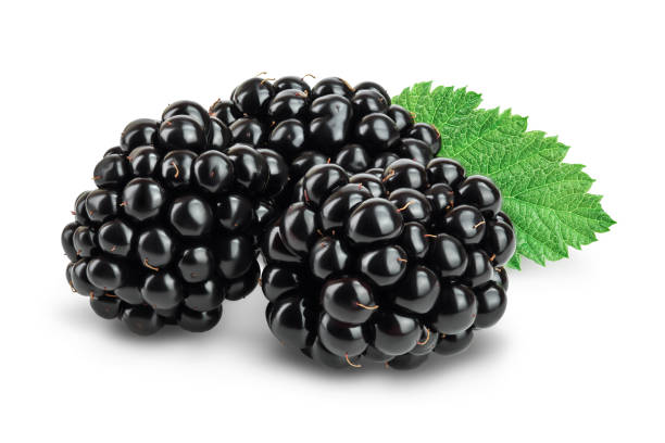 istock blackberry with leaf isolated on a white background closeup. Clipping path and full depth of field 1288429366