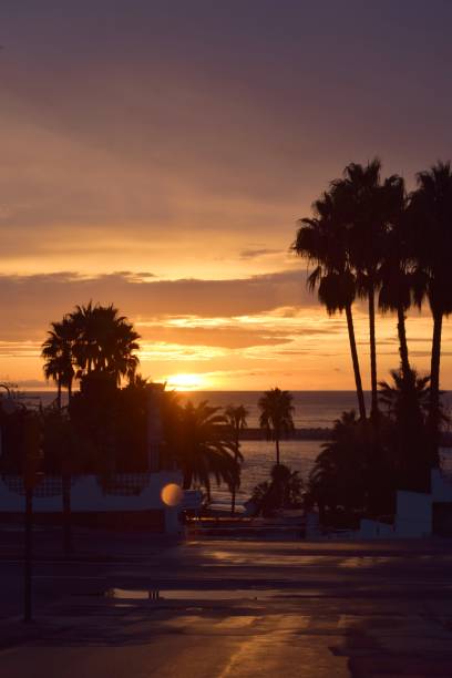 istock DAWNING IN THE SOUTH OF SPAIN 1288432938