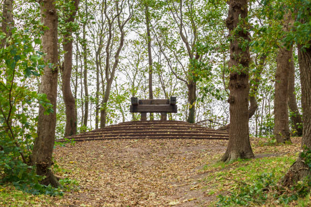Viewpoint in Nature resrerve The High mountain at Texel, the largest wadden island of the Netherlands in North Holland