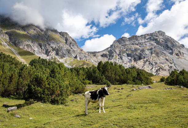 Val S-charl, Sasvenna, Scuol, Swiss