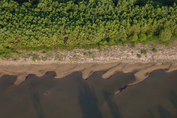 istock Sand bars on the Danube River in Kopacki rit Nature Park 1288437883