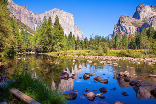 istock Beautiful sunny day in the park 1288438700