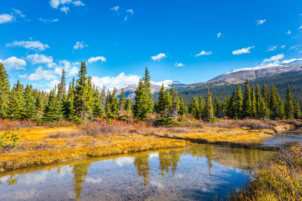 istock Cold sunny autumn day 1288438731