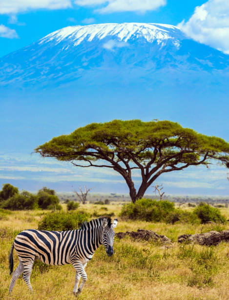 Trip to the Horn of Africa stock photo
