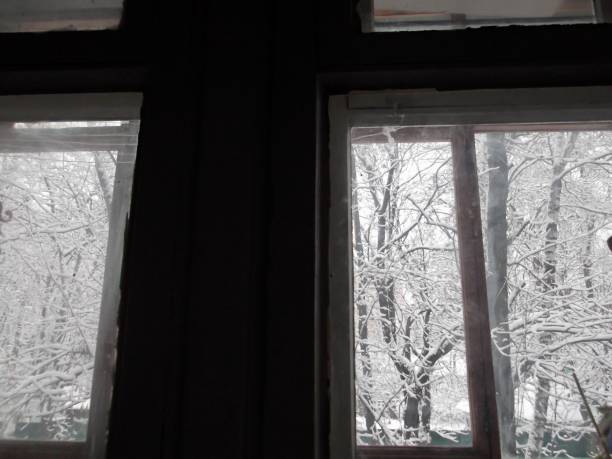 old window with old wooden frames with pretty view to the yard with trees under snow