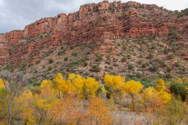 istock Verde Canyon Arizona Autumn Landscape 1288440625