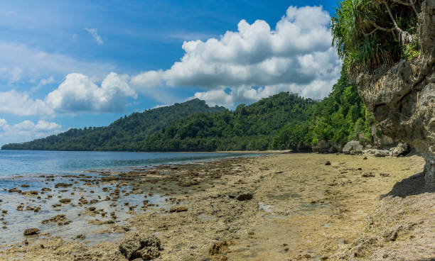 istock Wild remote untouched beach scene on low tide many corals and rocks visible next to lush jungle and hills in Banda Besar 1288440686