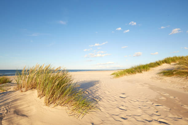 istock Leba Baltic sea coast 1288440766