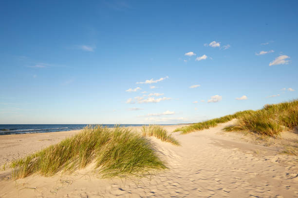 istock Leba Baltic sea coast 1288440770