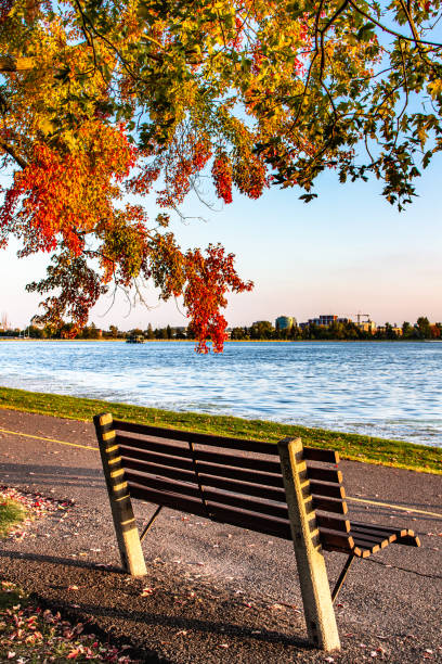 Bench near Dow's lake, Ottawa, in autumn