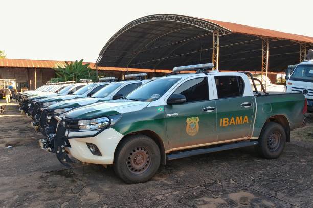 Official vehicles of IBAMA Santarem/Para/Brazil - April 30, 2019: Official vehicles of IBAMA (Brazilian Institute of the Environment and Renewable Natural Resources) for environmental inspection actions. toyota hilux stock pictures, royalty-free photos & images