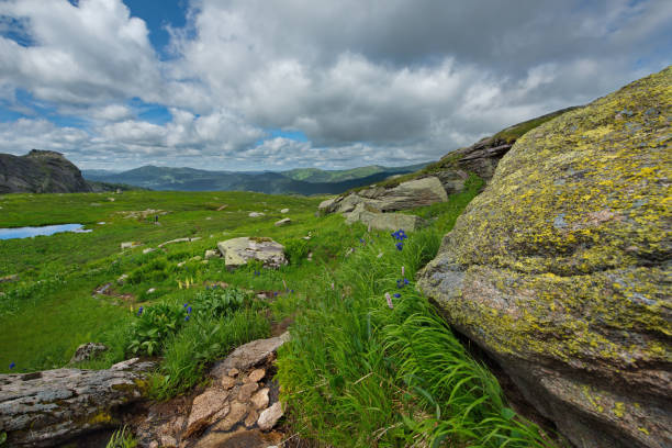 istock Stone passes of the Eastern Sayan mountains 1288443012