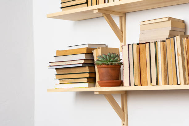 istock Indoor flowers on the bookshelves 1288443301