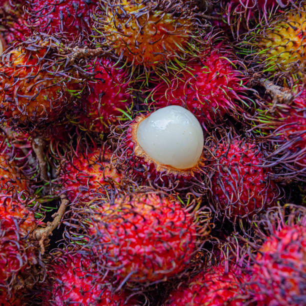 frutta esotica rambutan fresca sul mercato in malesia - rambutan foto e immagini stock