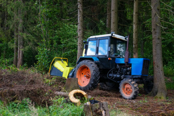 istock tractor with trailer of wood choppers and branches 1288450409