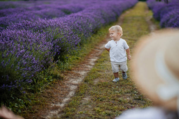 istock His curiosity makes him looks so cute 1288451869