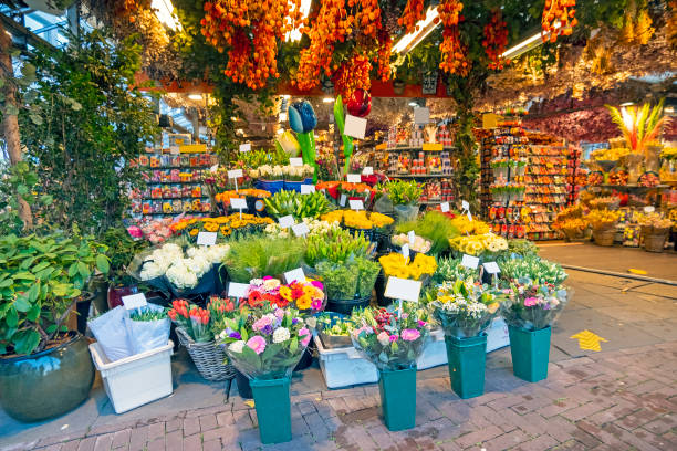 blumenladen am bloemmarkt in amsterdam in den niederlanden - flower market flower shop market flower stock-fotos und bilder