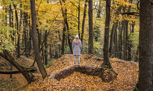 Woman standing in autumn woodland. Forest with colorful leaves in fall season. Enjoyment of nature