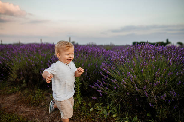 Happy little boy in nature