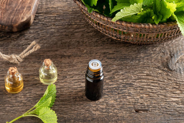 istock Essential oil bottle with fresh melissa leaves 1288456405