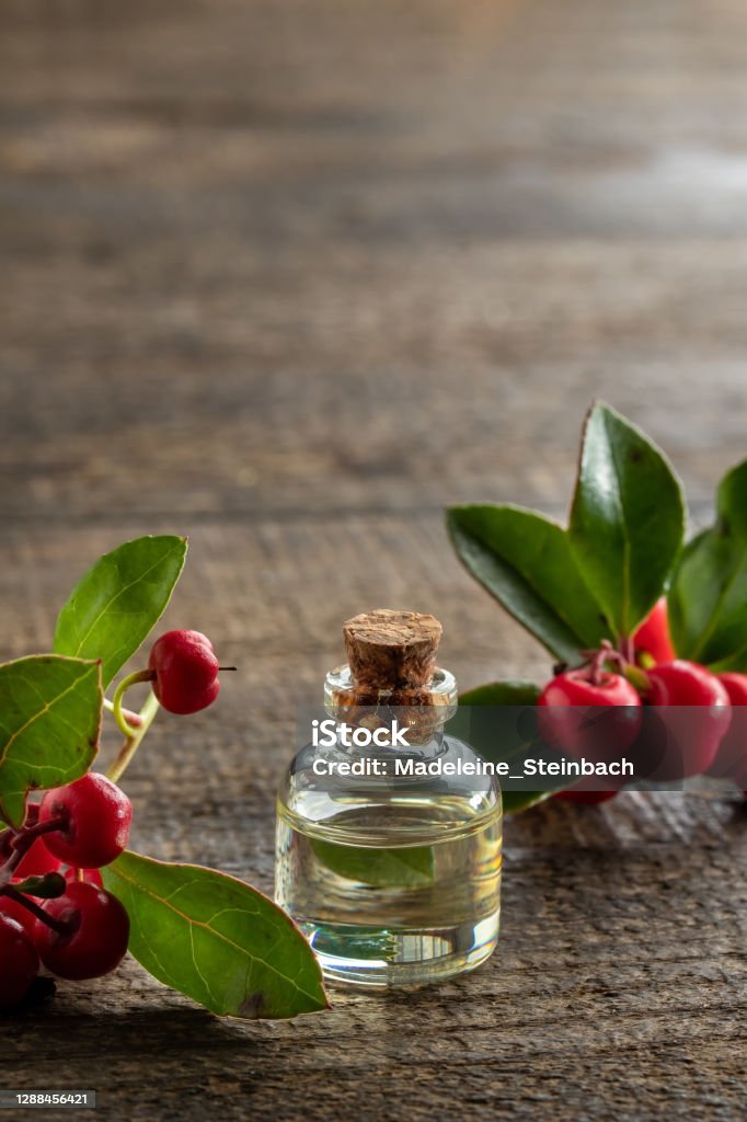 A bottle of essential oil with fresh wintergreen leaves and berries, with copy space Essential Oil Stock Photo