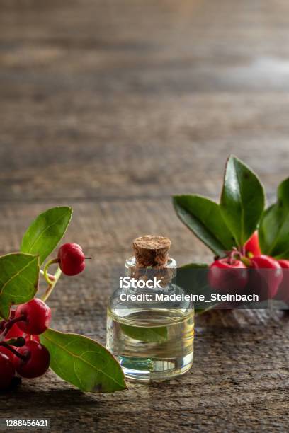 A Bottle Of Essential Oil With Fresh Wintergreen Leaves And Berries With Copy Space Stock Photo - Download Image Now