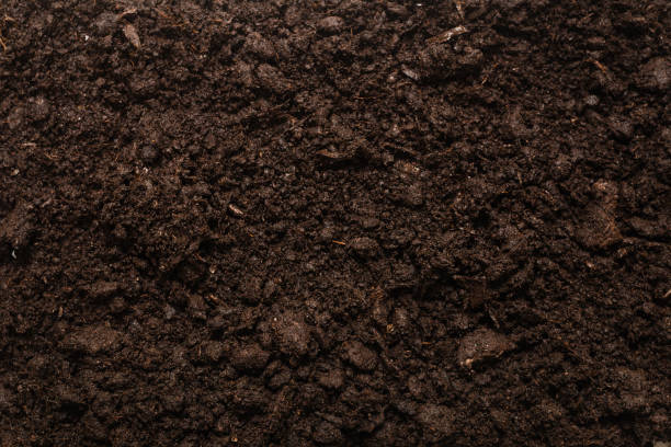 istock Black land for plant background. 1288457446
