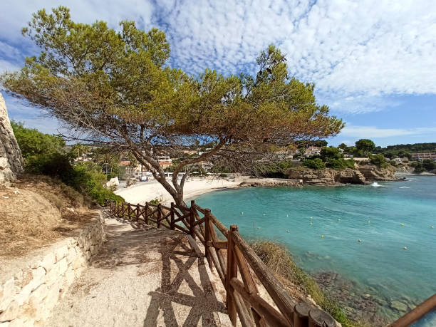 Empty pathway fenced with wooden railings lead to Benissa beach Stairs and steps empty pedestrian pathway fenced with wooden railings lead to Benisa beach. Sunny summer day, no people. Benissa town in Costa Blanca, Province of Alicante, Espana, Spain benissa stock pictures, royalty-free photos & images