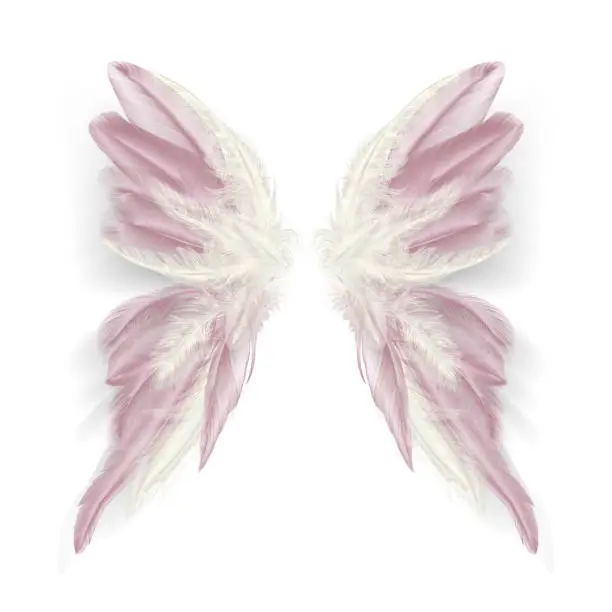 Vector illustration of Butterfly wings with feathers. Modern abstract art gold pink feather.