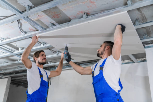 istock The foreman fixes drywall to the ceiling with a drill, his colleague helps him 1288466549