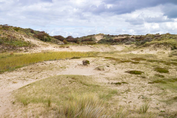 istock Landscape with dunes under a clouded sky, national park Meijendel 1288466885