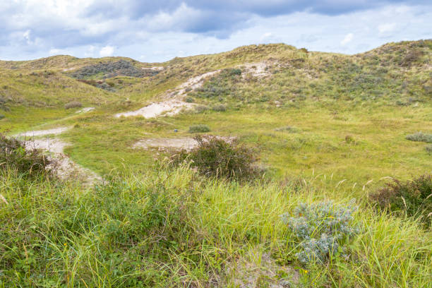 istock Landscape with dunes under a clouded sky, national park Meijendel 1288467257