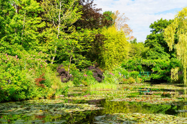 istock Pond with lilies in Giverny 1288471281