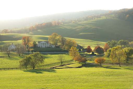 Fields and trees in a green hilly grassy landscape in autumn, Voeren, Limburg, Belgium, September 2023