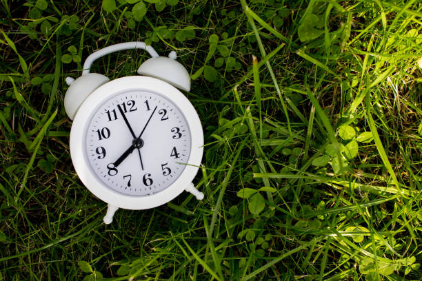 istock White alarm clock on green grass background with sun. Trendy minimal style. Flat lay composition. Top view 1288472977