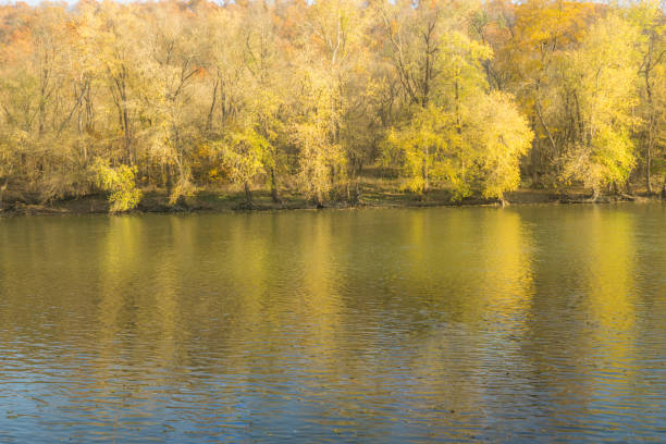 Kalscheurer Weiher (Pond of Kalscheuren) in brilliant evening light