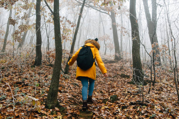 istock Hiking Late Autumn Early Winter 1288476435