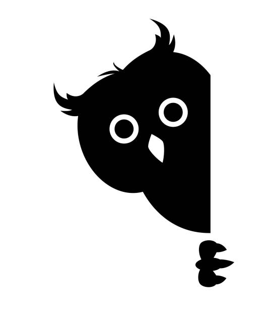 Curious vector owl hides and peeps. Curious owl hides and peeps. Sticker on a car or a refrigerator background of a owl black and white stock illustrations