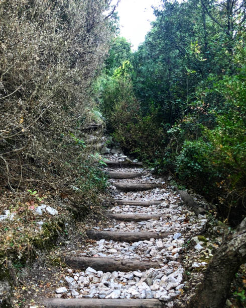 istock Pathway to nature leading up to the Olympus mountain. 1288477945