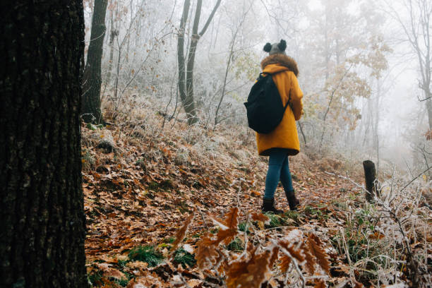 istock Hiking Late Autumn Early Winter 1288478004