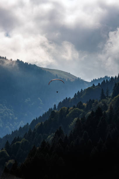 istock Uzungol mountain lake 1288479107