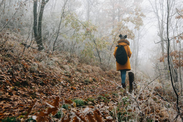 istock Hiking Late Autumn Early Winter 1288479298